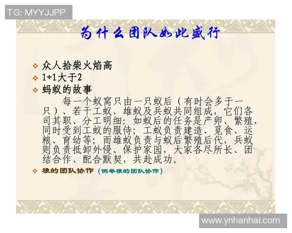 南京乒乓球队的团队协作之道：凝聚力与默契的完美结合